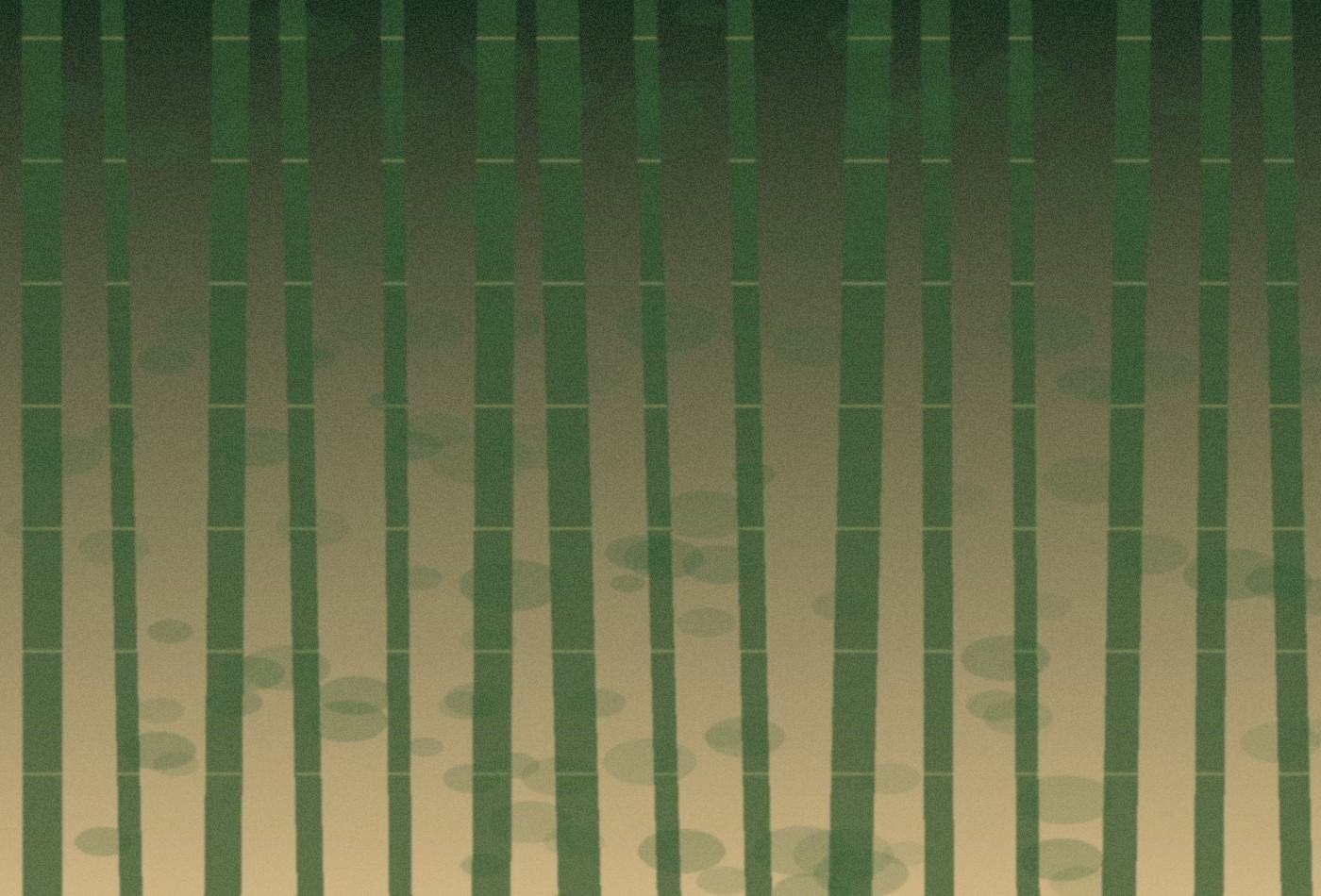 竹林のEC制作イメージ